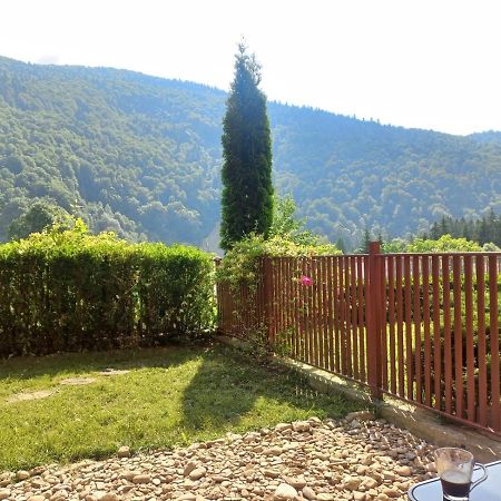 Appartamento Belleview Garden Studio Sinaia Esterno foto