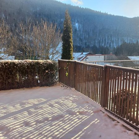 Appartamento Belleview Garden Studio Sinaia Esterno foto