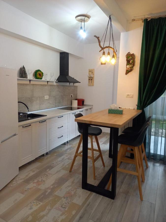 Appartamento Belleview Garden Studio Sinaia Esterno foto