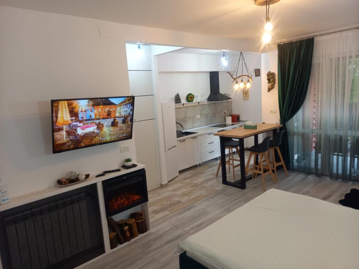 Appartamento Belleview Garden Studio Sinaia Esterno foto