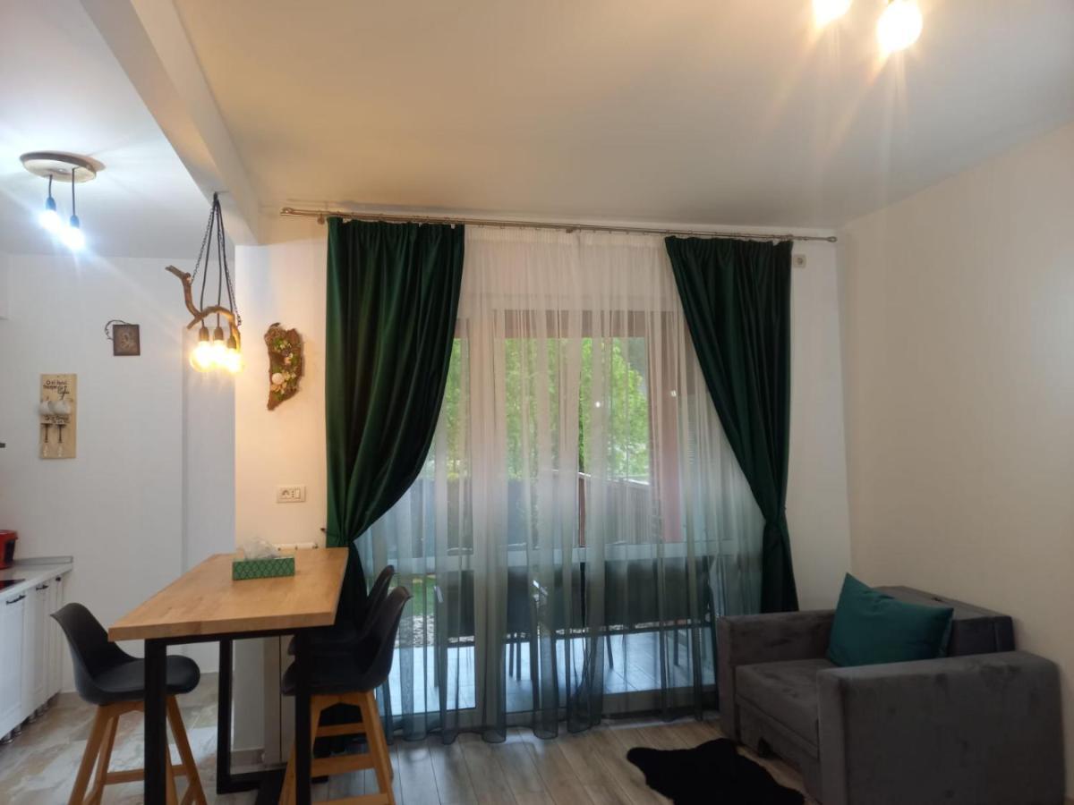 Appartamento Belleview Garden Studio Sinaia Esterno foto