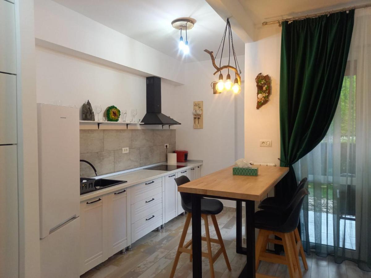 Appartamento Belleview Garden Studio Sinaia Esterno foto