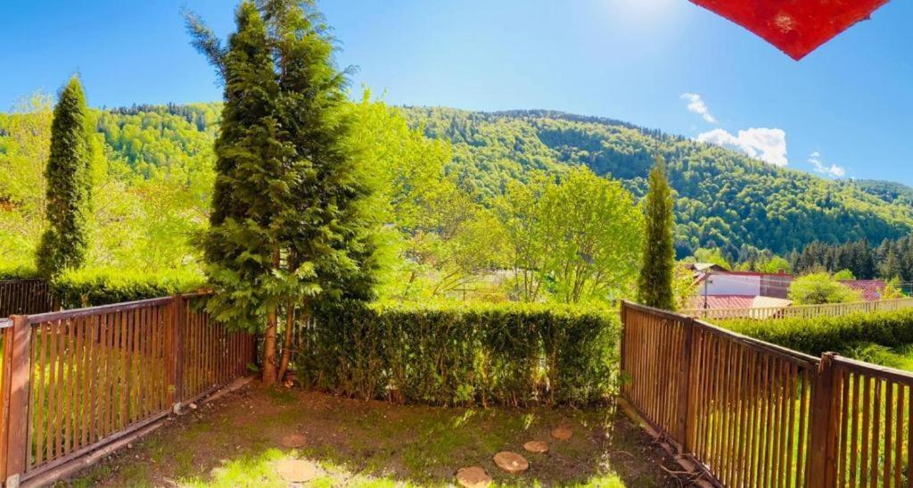 Appartamento Belleview Garden Studio Sinaia Esterno foto